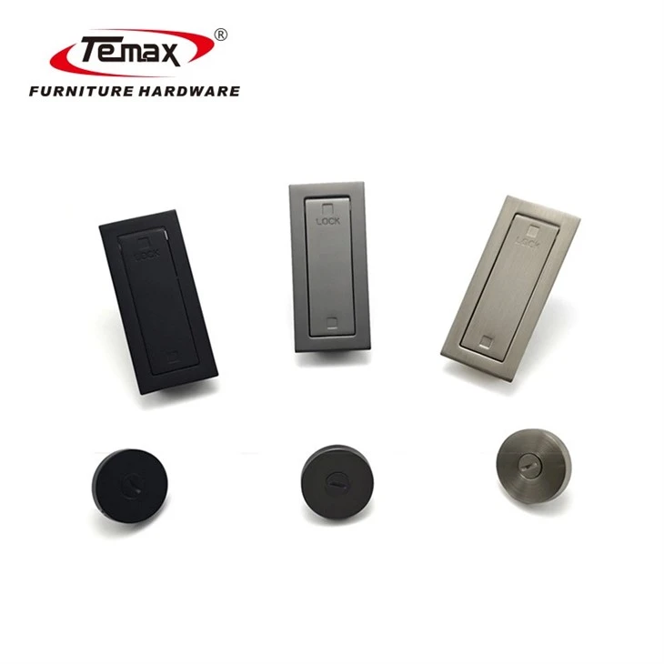 TEMAX Zinc Alloy Embedded Ghost Door Lock X002 factory